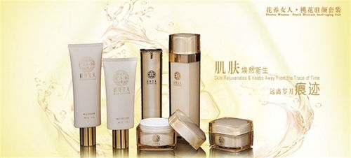 大真堂化妝品線上化之路 產(chǎn)品展示與店鋪裝修的計算機網(wǎng)絡技術開發(fā)